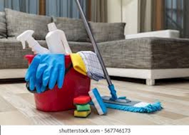 Property Maintenance and Cleaning