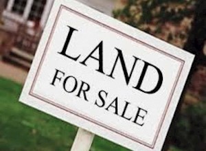 Large Plot Of Land For Sale