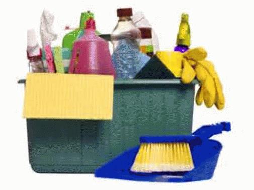 Property Cleaning Business